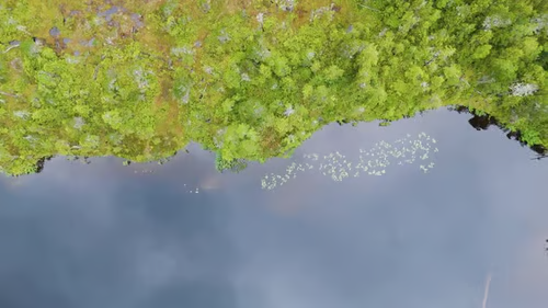 McKinnon's Salt Pond, north-west Antigua, view three — wetland landscape inland of Runaway Bay, Mackinnon's Estate archive by Emma-Jane MacKinnon-Lee